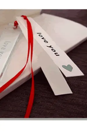 ปกนิยาย private .