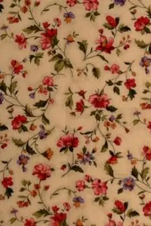 ปกนิยาย Exchange! โครงการแลกเปลี่ยนโรงเรียนเวทมนต์