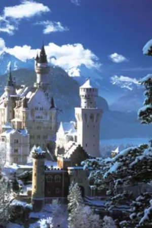 ปกนิยาย :--โรงเรียนเอวาร่า--: