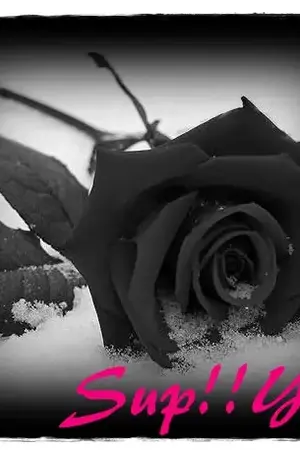 ปกนิยาย ของที่ถูกทิ้ง