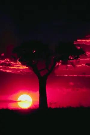 ปกนิยาย Fic:Twilight:EdwardXJacob:without sun:YAOI