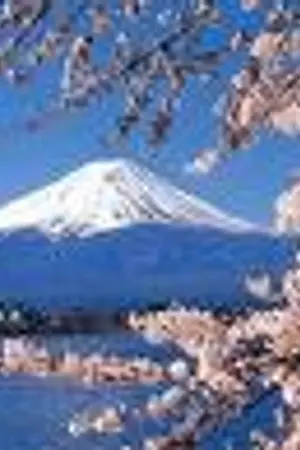 ปกนิยาย ไวท์ นักดาบเทพประจัญบาณ