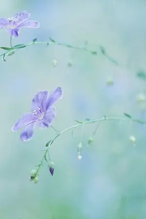 ปกนิยาย (Fic reborn) My word เปลี่ยนให้เป็นรัก 189559, 6986