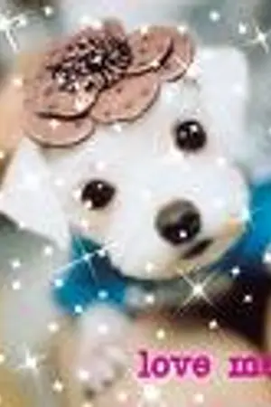 ปกนิยาย พี่น้องหน้าใส กะ นายเกาหลีน่ารัก