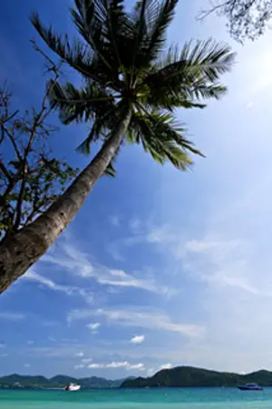 ปกนิยาย Text Emo ตัวอักษรน่ารักๆ ที่นี่ มากมาย