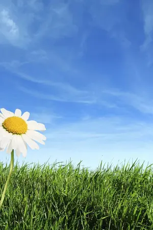 ปกนิยาย วันที่ฉันลืมกุญแจบ้าน...