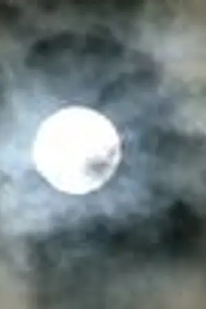 ปกนิยาย เจ้าชายแห่งรัตติกาลกับธิดาพญายม