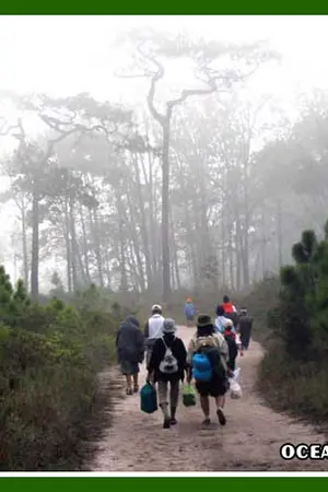 ปกนิยาย ตะลอนรัก