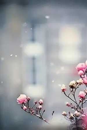 ปกนิยาย happy birthday วันเกิดมรณะ