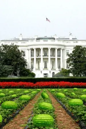 ปกนิยาย Garden House