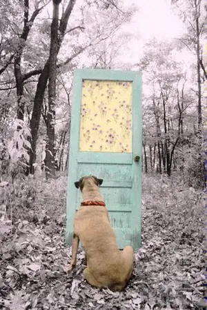 ปกนิยาย ความทรงจำในเส้นขนาน