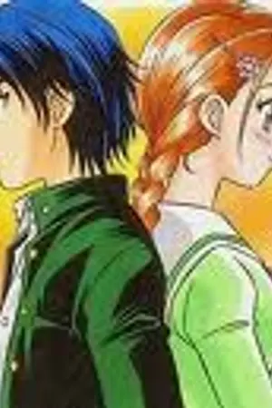 ปกนิยาย รักป่วนใจเจ้าชายเทนนิส[ Fic prince of tennis]