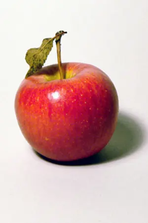 ปกนิยาย Just you!!