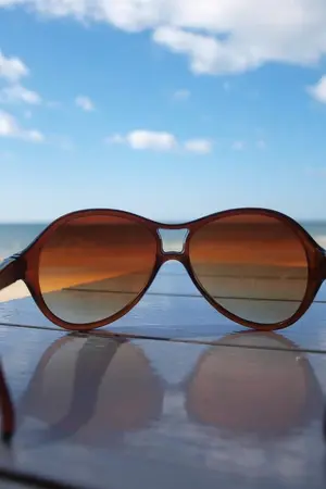 ปกนิยาย Real Diary! เด็กโง่ ขอโกอินเตอร์