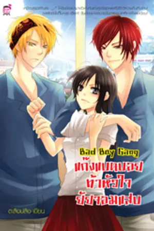 ปกนิยาย BAD BOY GANG แก๊งแบดบอยท้าหัวใจยัยจอมแสบ