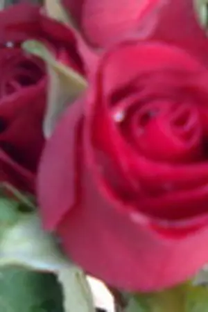 ปกนิยาย ลำนำรัก สุดรอยทราย