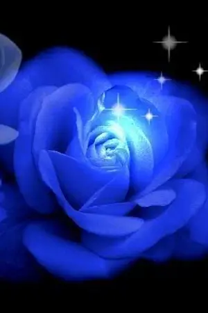 ปกนิยาย ~ The Blue Rose ~ กุหลาบแห่งท้องทะเล