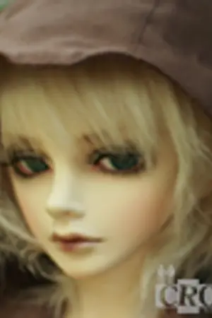 ปกนิยาย Rainiar ตามล่าหาอัญมณี