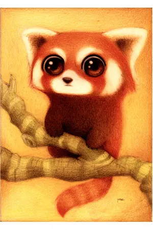 ปกนิยาย ศึกษาภาษาอาหรับพื้นฐาน