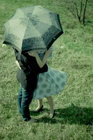 ปกนิยาย the room