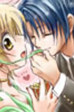 ปกนิยาย [FanFic Gundam Seed] รักอลหม่านของเจ้าหญิงสุดเซี้ยว