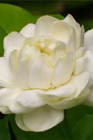 ปกนิยาย รวมเรื่องราวที่น่ารู้ แล้วคุณจะไม่ผิดหวัง