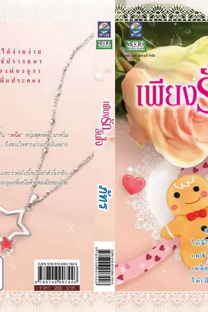 ปกนิยาย