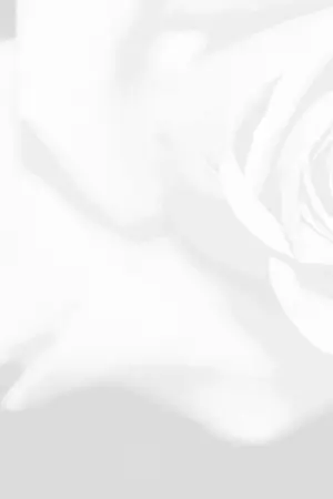 ปกนิยาย [OS/SF] บีคริส