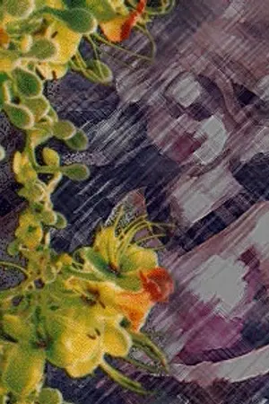 ปกนิยาย พรายระบำ