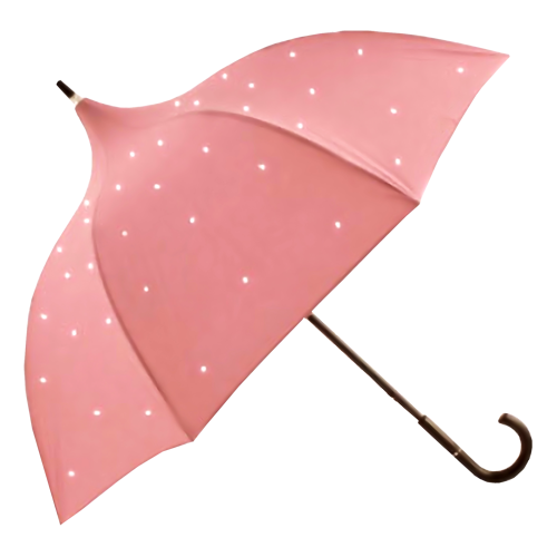 Зонт Chantal Thomass. Зонт трость пагода. Зонт фуксия. Калоши и зонтик