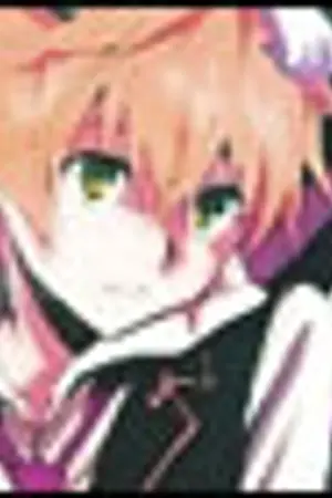 ปกนิยาย 彡 Shadow Killer Organization