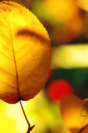 ปกนิยาย Summer Life : ช่วงเวลาสั้นๆ ที่ฉันได้รักเธอ