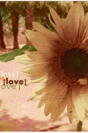 ปกนิยาย *ขาย* หนังสือนิยายแจ่มใส [SALE]