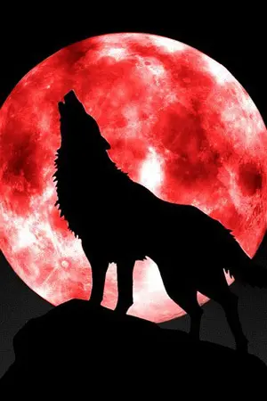 ปกนิยาย ||*Howling destiny*||*ลิขิตรักชะตาจันทรา*||