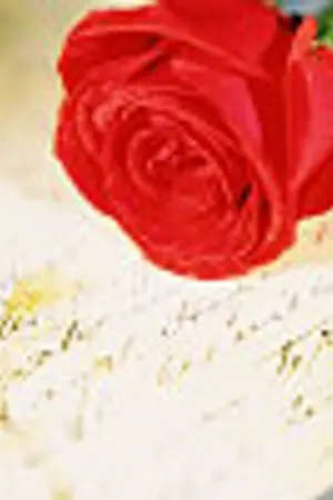 ปกนิยาย [APH Fic][USxUK] Across the Distance