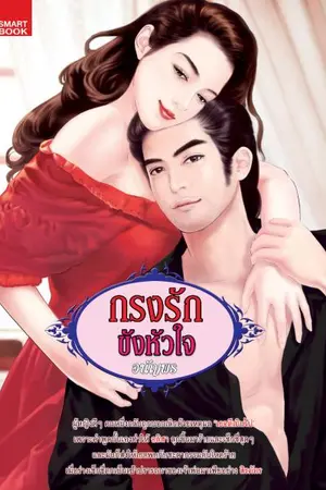 ปกนิยาย