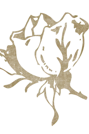 ปกนิยาย [Fic-Beast] I L L U S I O N  {DuSeung ll JunSeob}