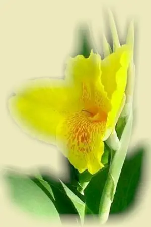 ปกนิยาย ค่าความรักของผู้ชายที่แสนดี