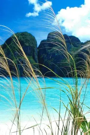 ปกนิยาย มัยยาอาลา  ห่มหัวใจด้วยรัก