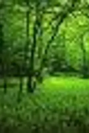 ปกนิยาย Lich ภูติน้อยแห่งป่า