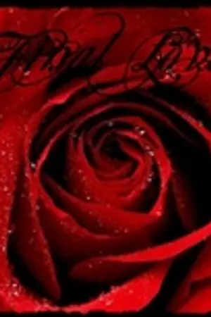 ปกนิยาย Final Love รักสุดท้ายขอหยุดหัวใจไว้ที่...  (นิยาย yaoi)