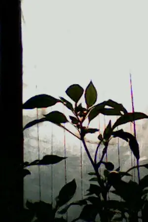 ปกนิยาย ศรรักกามเทพ (ตีพิมพ์กับบงกช เล่มเล็ก)