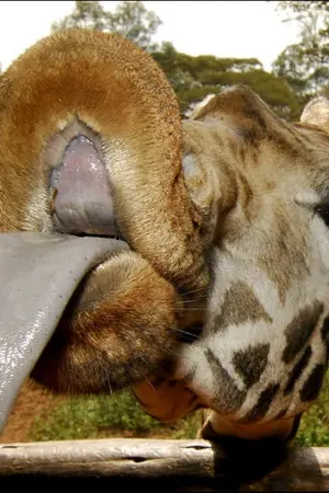 ปกนิยาย สัตว์โลกน่ารัก น่ากลัว น่าเหลือเชื่อ!!!