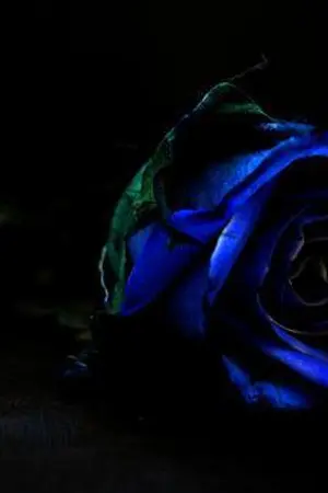 ปกนิยาย เธเลนเชีย มหานครมนตรา