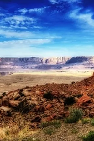 ปกนิยาย Harmonious Quest : ภารกิจนี้ ชี้ชะตาโลก !~