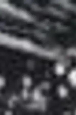 ปกนิยาย we got married  ภารกิจวุ่นวายนายหน้าหวาน < U-KISS x MISS A >