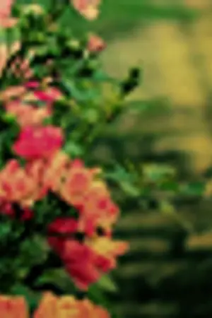 ปกนิยาย Free Art Theme:แจกธีมแนวอาร์ต