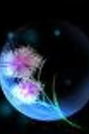 ปกนิยาย Black wins ผู้กำชัยแห่งความมมืด...!