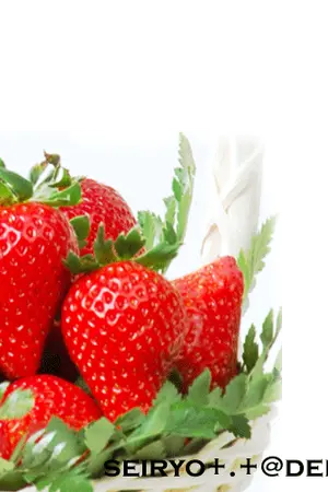 ปกนิยาย SORRY  PAPA!! โทษทีฮะพ่อ...พอดีผมชอบ!?