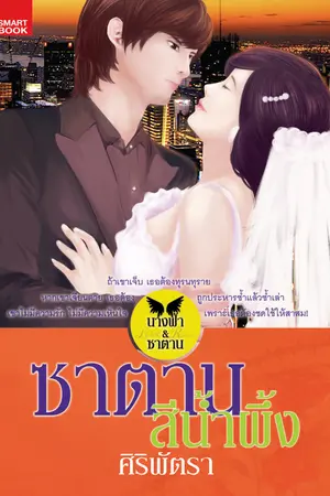 ปกนิยาย